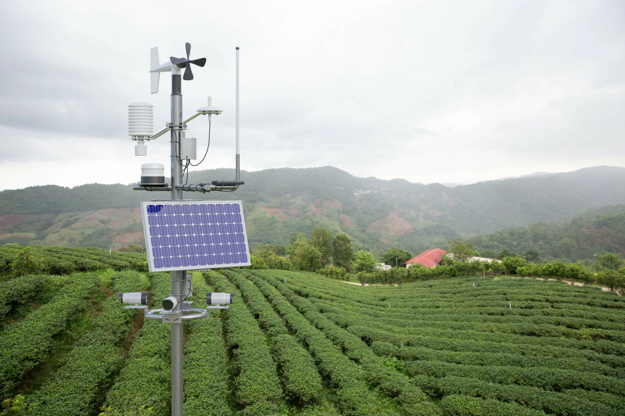 Agriculture IoT